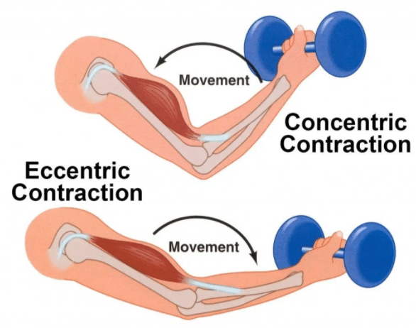 Doms away! Is delayed onset muscle soreness inevitable after a workout?, Fitness