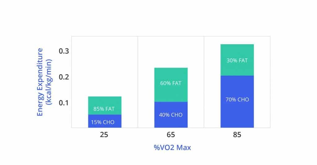 Energy expenditure chart