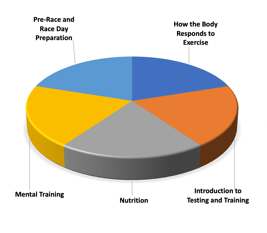 Chart, pie chart

Description automatically generated