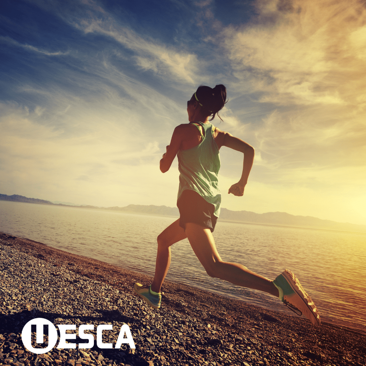 Female Physiology: The Female Athlete and Ovarian Hormone Patterns Specialization Course