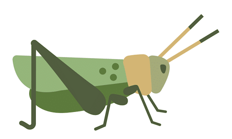 A graphic of a cricket
