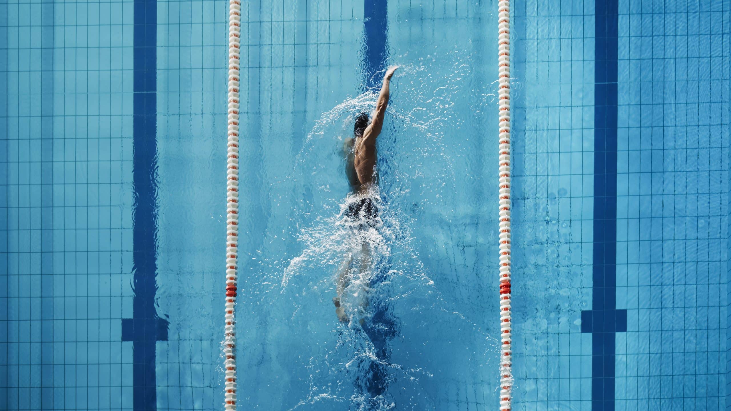 An aerial image of a man swimming freestyle in a pool lap lane