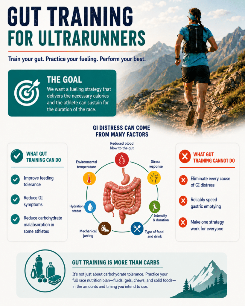 Infographic about a sustainable race-fueling goal, GI distress factors, and what gut training can and cannot do. 